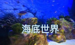 海底世界短视频,揭秘神秘海底世界的奥秘